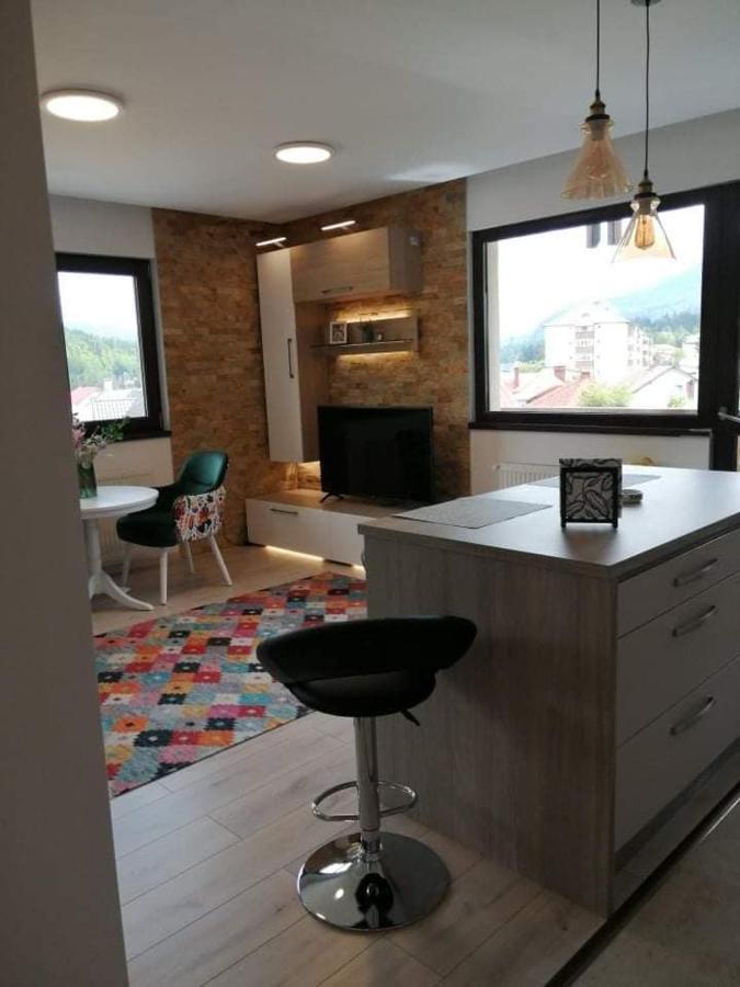 Belcara Apartment Buşteni Zewnętrze zdjęcie