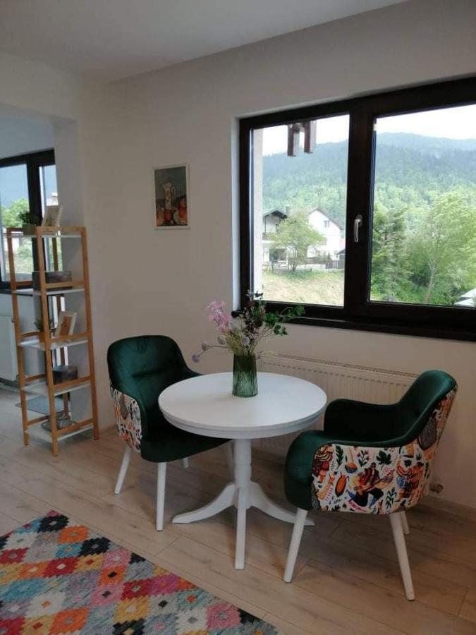 Belcara Apartment Buşteni Zewnętrze zdjęcie