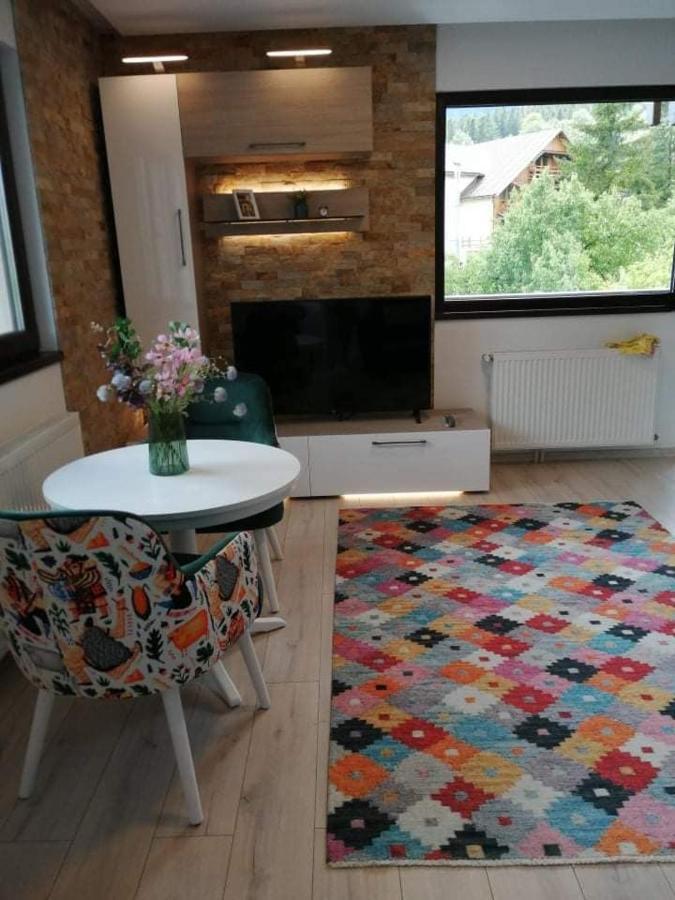 Belcara Apartment Buşteni Zewnętrze zdjęcie