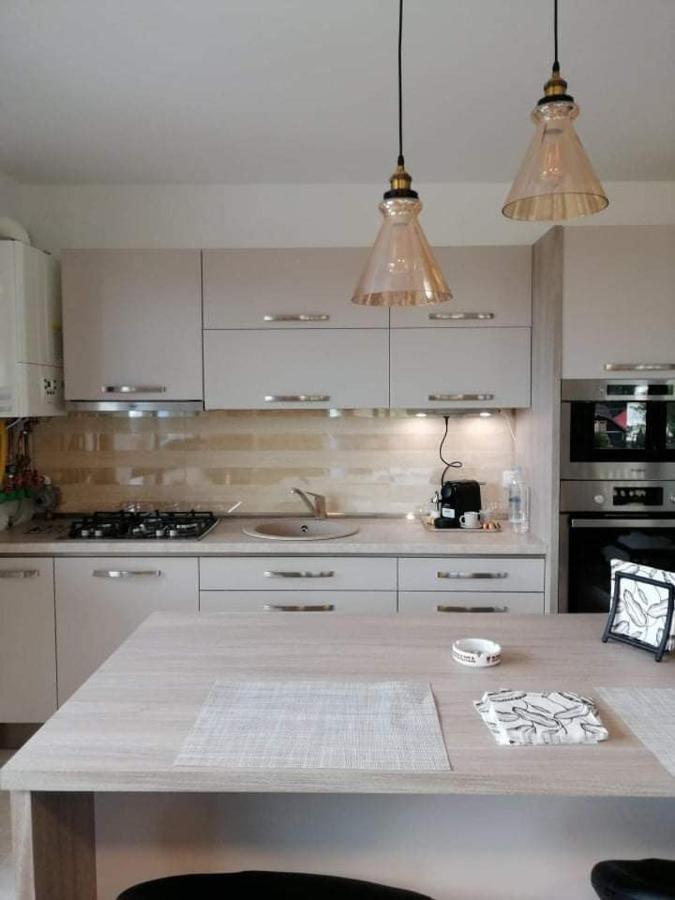 Belcara Apartment Buşteni Zewnętrze zdjęcie