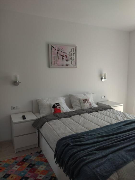 Belcara Apartment Buşteni Zewnętrze zdjęcie