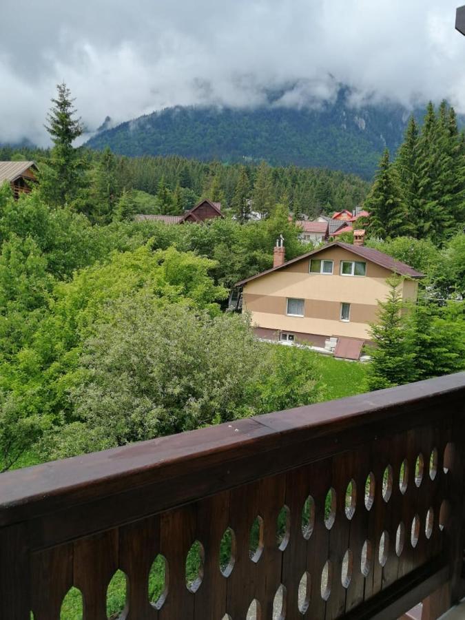 Belcara Apartment Buşteni Zewnętrze zdjęcie