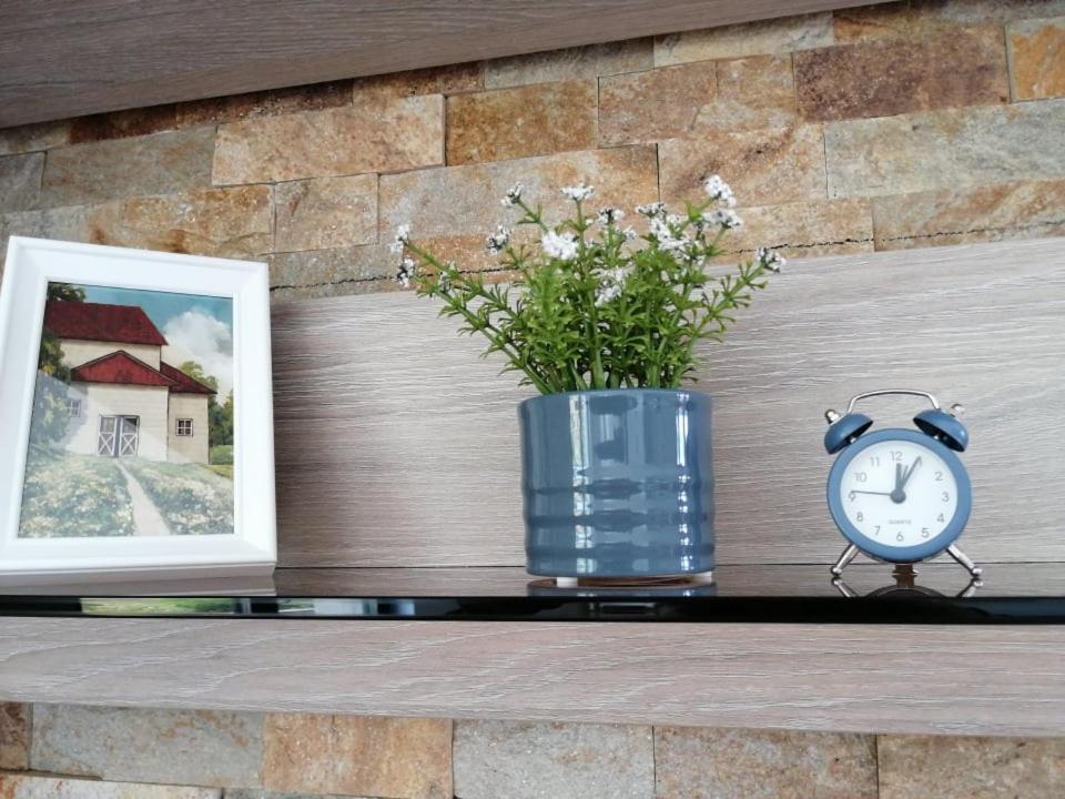 Belcara Apartment Buşteni Zewnętrze zdjęcie